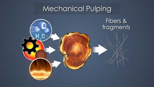 chemical pulping process