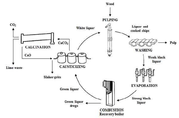 chemical recovery process for paper pulping