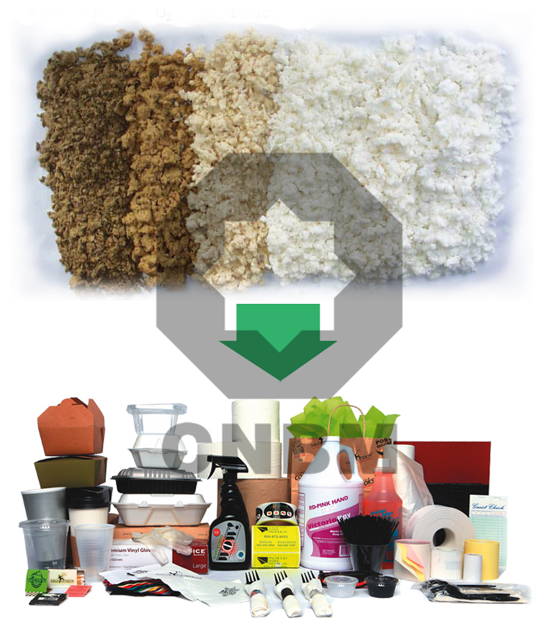 chemical pulp and paper products
