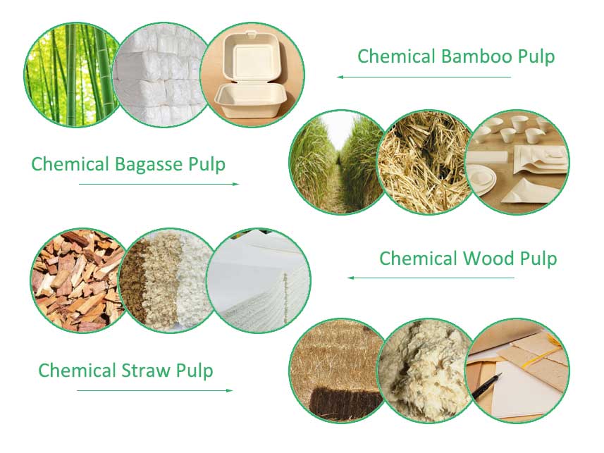 chemical pulp category