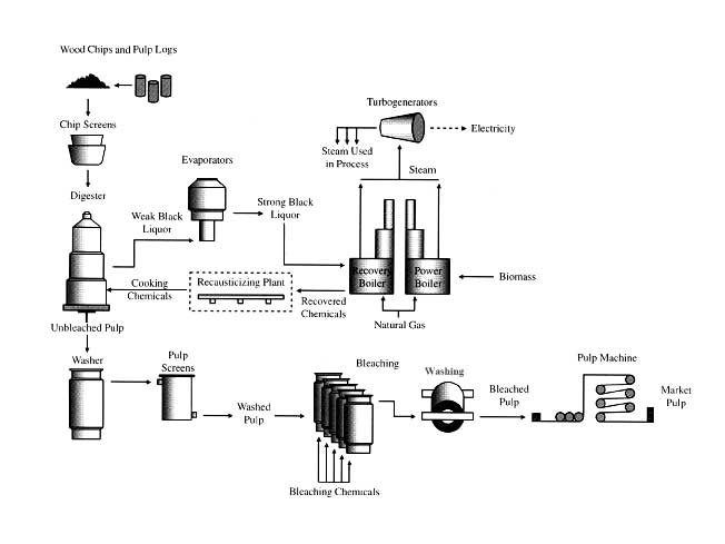 chemical pulping system