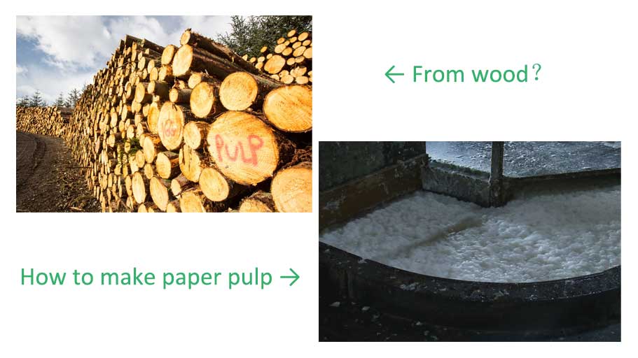 how to make wood pulp