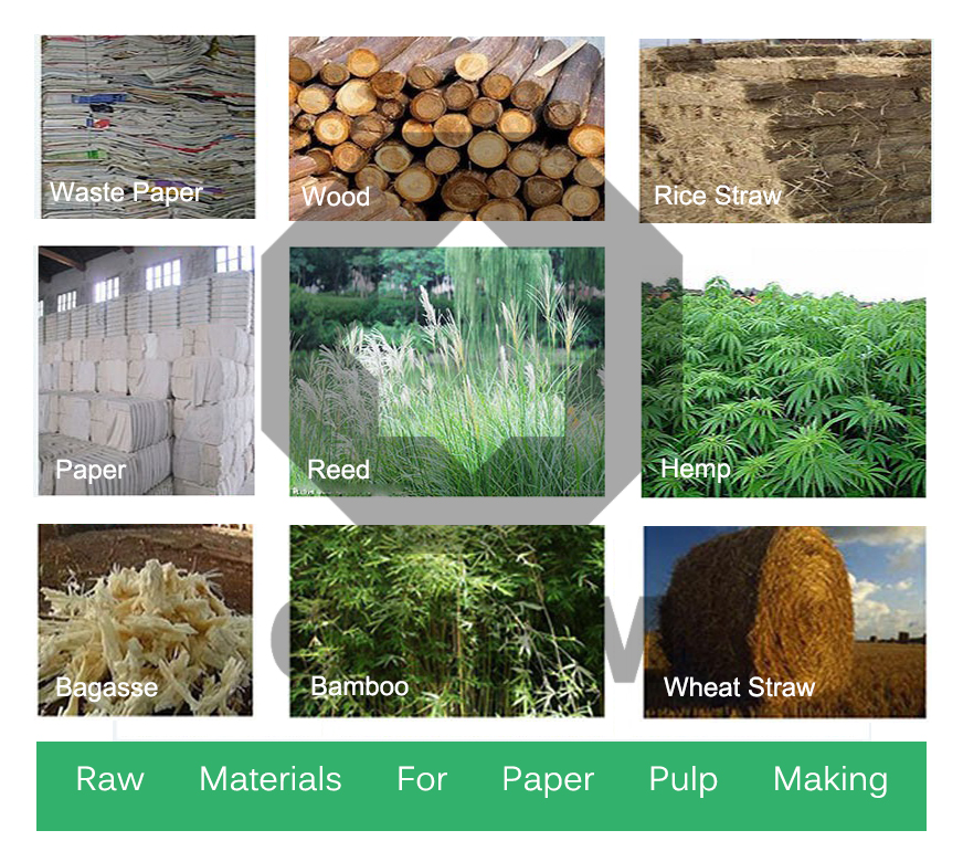 paper pulp raw material